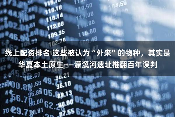 线上配资排名 这些被认为“外来”的物种,其实是华夏本土原生——濛溪河遗址推翻百年误判