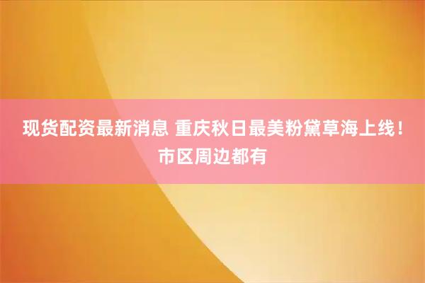 现货配资最新消息 重庆秋日最美粉黛草海上线！市区周边都有